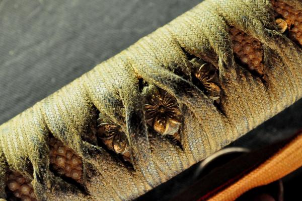 Nakajima Rai (close-up of tsuka ito)